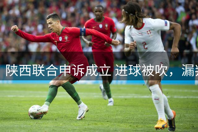 陕西联合申诉成立 进球被吹，漏判点球 大连鲲城免遭失利