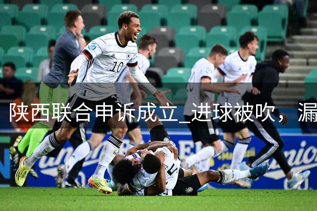 陕西联合申诉成立 进球被吹，漏判点球 大连鲲城免遭失利